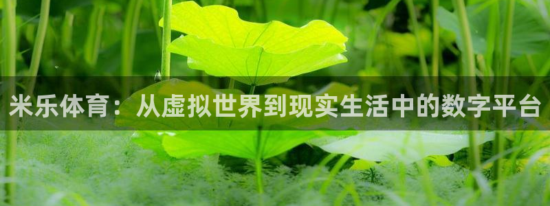 柠檬体育直播nba：米乐体育：从虚拟世界到现实生活中的数字平台