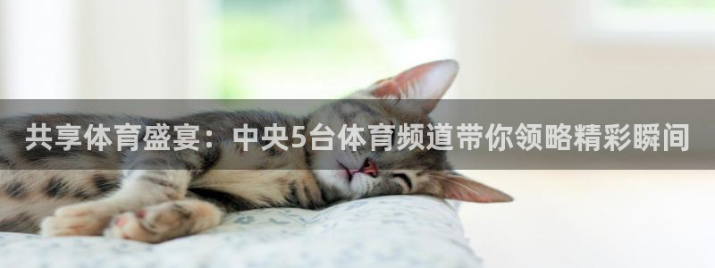 nba直播柠檬：共享体育盛宴：中央5台体育频道带你领略精彩瞬间