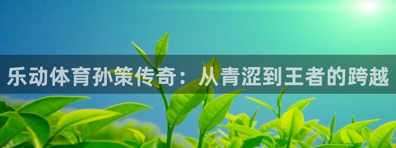 柠檬直播足球直播：乐动体育孙策传奇：从青涩到王者的跨越