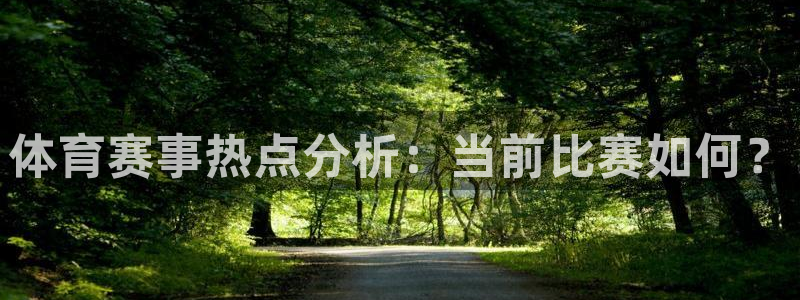柠檬大秀直播：体育赛事热点分析：当前比赛如何？
