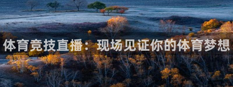 nba 柠檬直播：体育竞技直播：现场见证你的体育梦想