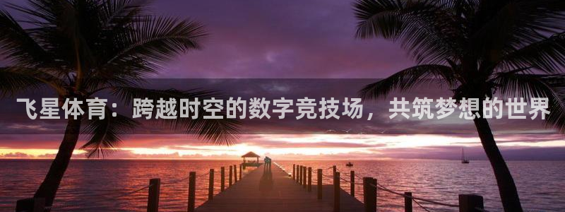 柠檬直播改名叫什么了：飞星体育：跨越时空的数字竞技场，共筑梦想的世界