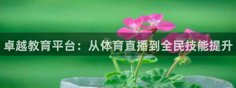 柠檬体育足球直播：卓越教育平台：从体育直播到全民技能提升