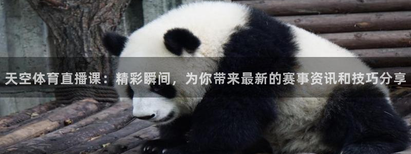 柠檬真人直播：天空体育直播课：精彩瞬间，为你带来最新的赛事资讯和技巧分享
