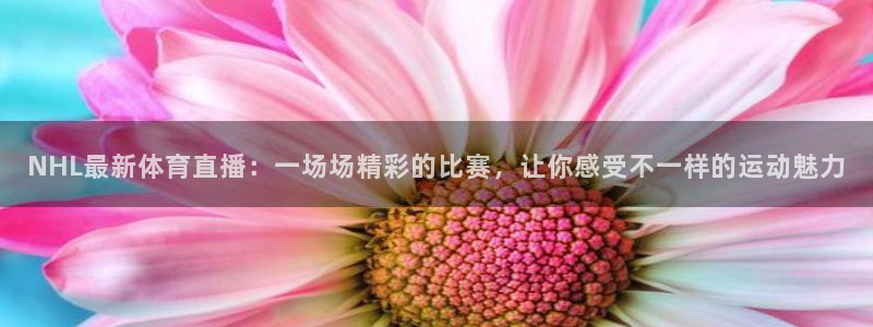 柠檬直播在线直播nba：NHL最新体育直播：一场场精彩的比赛，让你感受不一样的运动魅力