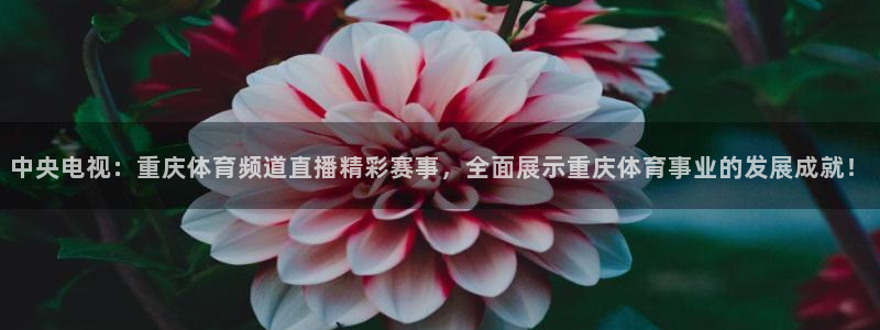 柠檬足球直播免费观看直播：中央电视：重庆体育频道直播精彩赛事，全面展示重庆体育事业的发展成就！